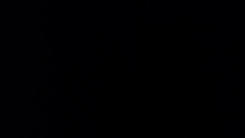Snapshot of walnniel_concordia chatting on May 15, 11:56 pm walnniel_concordia online show from May 15, 11:56 pm
