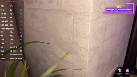 Walt Enjoy online show from February 1, 8:26 pm