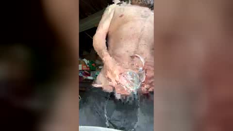 Walter online show from March 12, 5:52 pm