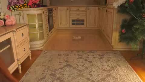 hello guys im Lilian online show from January 12, 3:12 am