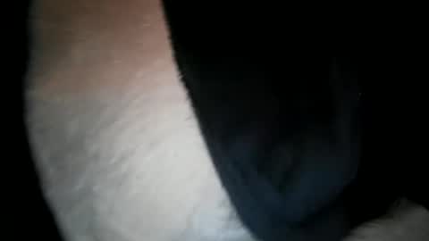 wantobone2 online show from February 9, 11:14 am