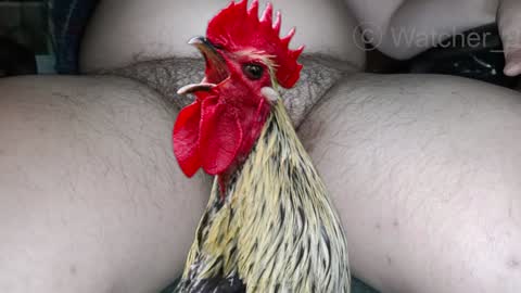 Snapshot of watcher_9 chatting on December 8, 8:15 pm classified online show from December 8, 8:15 pm