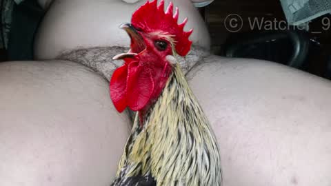 Snapshot of watcher_9 chatting on December 25, 8:50 pm classified online show from December 25, 8:50 pm