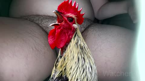 Snapshot of watcher_9 chatting on October 7, 8:17 pm classified online show from October 7, 8:17 pm