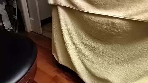 Snapshot of watchm333 chatting on December 14, 8:09 am Watchm333 online show from December 14, 8:09 am