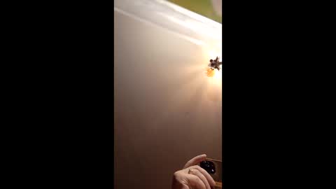 webiran online show from March 2, 4:58 am