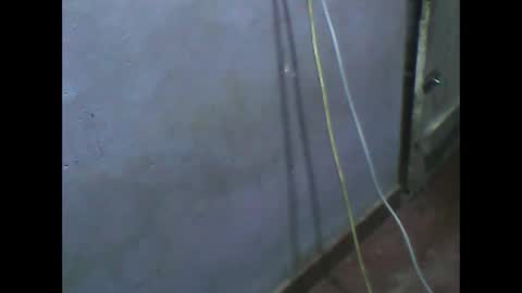 Snapshot of wela123456 chatting on November 1, 1:02 pm wela123456 online show from November 1, 1:02 pm