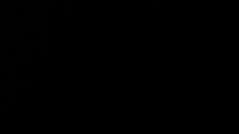 wellingtont online show from December 21, 9:27 am