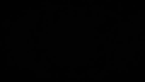 Denise Debs online show from March 16, 5:17 pm