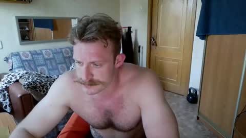 WhiteBull online show from June 30, 2:40 pm