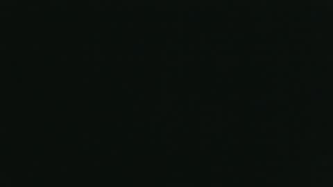 Snapshot of whitehead_lion chatting on October 26, 5:52 pm whitehead_lion online show from October 26, 5:52 pm