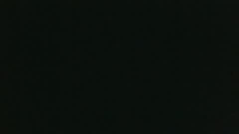 Snapshot of whitehead_lion chatting on December 15, 8:24 pm whitehead_lion online show from December 15, 8:24 pm