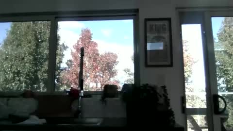 whitepantyman1973 online show from April 29, 3:10 am