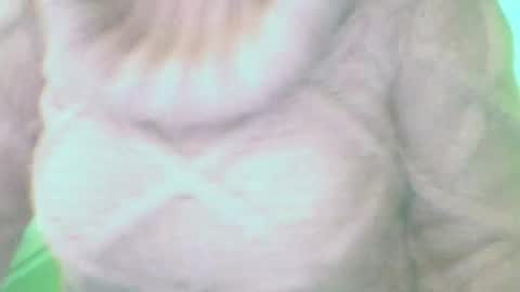 Snapshot of whitesweater chatting on March 10, 7:32 am whitesweater online show from March 10, 7:32 am