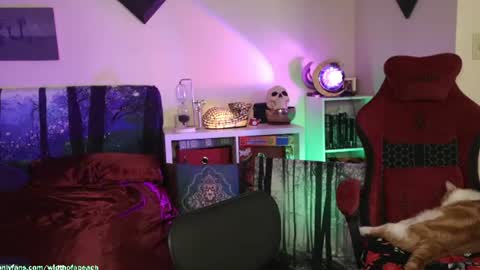 Gretchen  Jimmy online show from July 21, 2:47 am