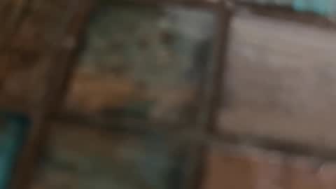 Snapshot of wievin chatting on February 10, 10:19 am VI online show from February 10, 10:19 am