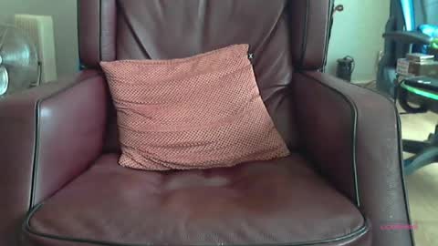wilbert online show from June 16, 7:44 am