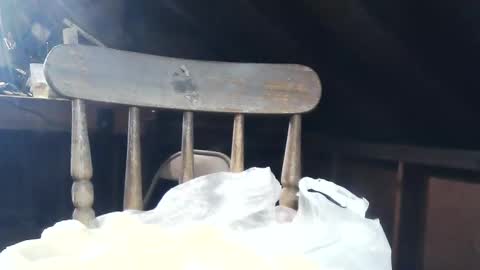 Snapshot of wildman6 chatting on February 8, 8:53 pm wildman6 online show from February 8, 8:53 pm