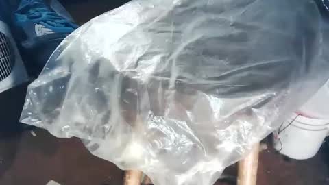 Snapshot of wildman6 chatting on November 2, 8:44 pm wildman6 online show from November 2, 8:44 pm