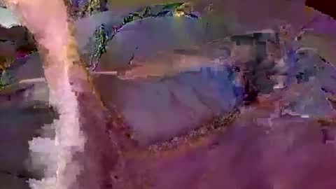 Snapshot of wildmanbobby chatting on February 20, 5:02 pm bobby banks online show from February 20, 5:02 pm