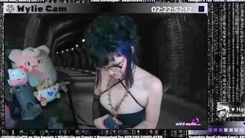 Snapshot of wildwylie chatting on January 15, 4:57 am Wylie Wanderlust online show from January 15, 4:57 am