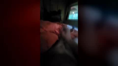 Willing online show from July 12, 3:36 pm