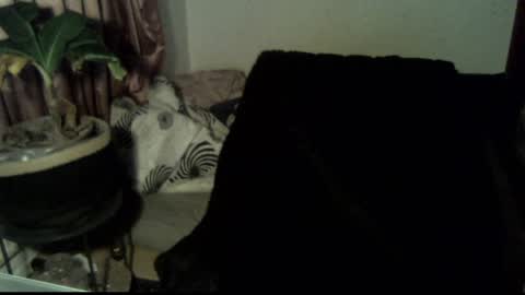 Snapshot of willingwillwet chatting on December 18, 3:11 pm Call me Babe online show from December 18, 3:11 pm