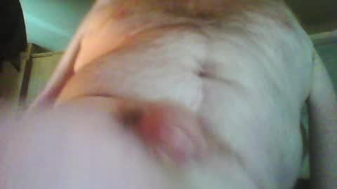 Snapshot of willystroker78 chatting on April 25, 12:41 pm Willy Stroker online show from April 25, 12:41 pm
