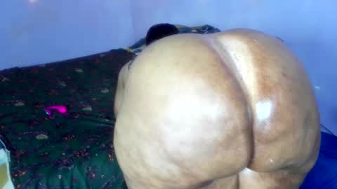 wilmaassylum online show from December 1, 8:52 am