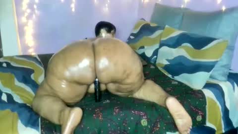 wilmaassylum online show from January 17, 5:34 am