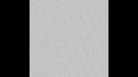 wilmot69noah online show from February 7, 1:43 pm