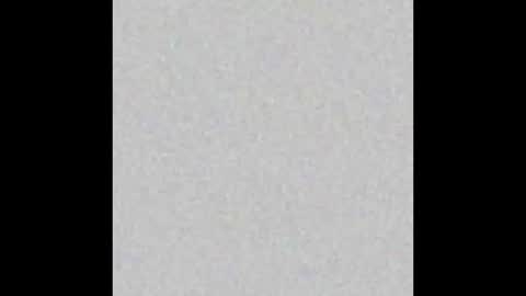 wilmot69noah online show from February 19, 11:49 am