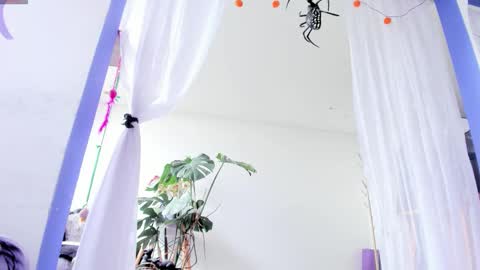 Snapshot of witchofhearts chatting on October 28, 4:42 pm Luna Violeta A r t i s t online show from October 28, 4:42 pm