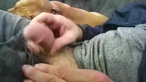 wmasolutions2020 online show from March 12, 3:23 am