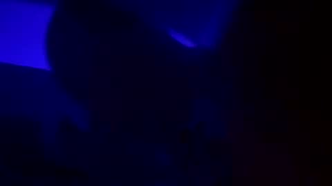 Snapshot of wolf41xxx chatting on December 15, 5:13 am WolfX online show from December 15, 5:13 am