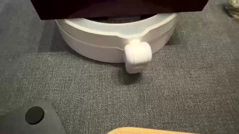 Snapshot of wolf41xxx chatting on September 17, 11:39 pm WolfX online show from September 17, 11:39 pm