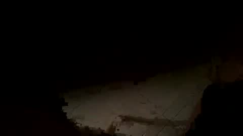 Snapshot of wolf41xxx chatting on November 14, 2:21 am WolfX online show from November 14, 2:21 am