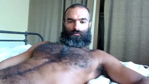 woof_wolf37 online show from August 3, 7:17 pm