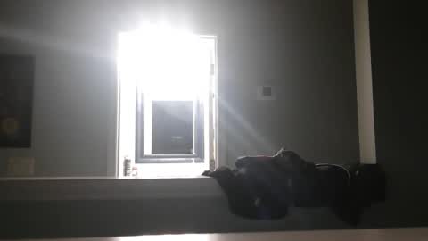 woofattk2025 online show from March 4, 11:16 am