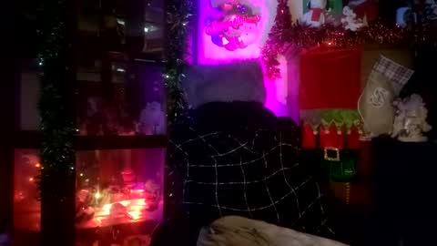 Snapshot of wscooter1 chatting on November 23, 6:19 pm SCOOTER online show from November 23, 6:19 pm