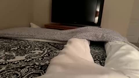 Wsteel66 online show from February 24, 3:48 am