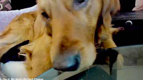 Lily online show from January 15, 2:38 am