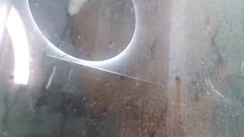 Snapshot of xandressex chatting on February 3, 11:42 am Andres online show from February 3, 11:42 am