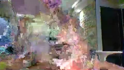 xavii31 online show from March 11, 1:44 am