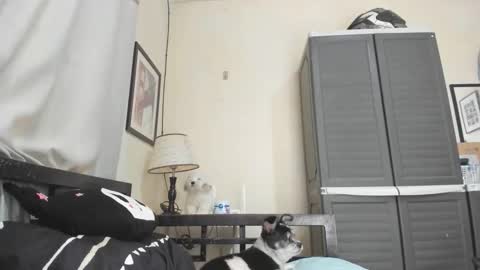 Snapshot of xdreamangel chatting on January 3, 7:16 am xdreamangel online show from January 3, 7:16 am