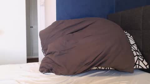 Snapshot of xhotfanx chatting on January 1, 11:05 am xhotfanx online show from January 1, 11:05 am