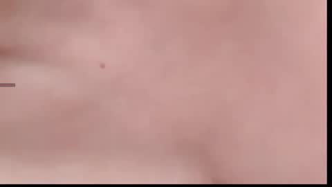 xinbao799322 online show from November 14, 2:05 pm