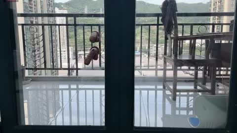 Snapshot of xinbao799322 chatting on July 9, 9:24 am xinbao799322 online show from July 9, 9:24 am