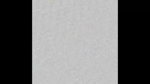 JSSD online show from November 24, 11:54 am