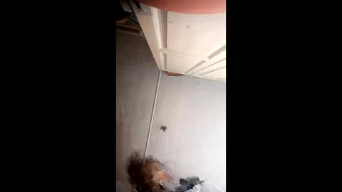 Snapshot of xlwi77 chatting on May 31, 10:22 pm xlwi77 online show from May 31, 10:22 pm